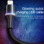 Baseus USB Kabel für iPhone 12 11 Pro XS Max LED 0,25-3m